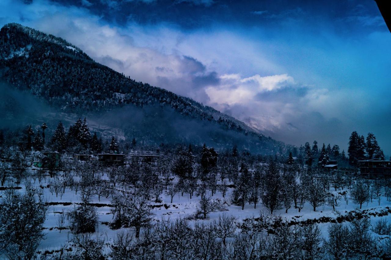 Alt Life - Manali Albergue Exterior foto